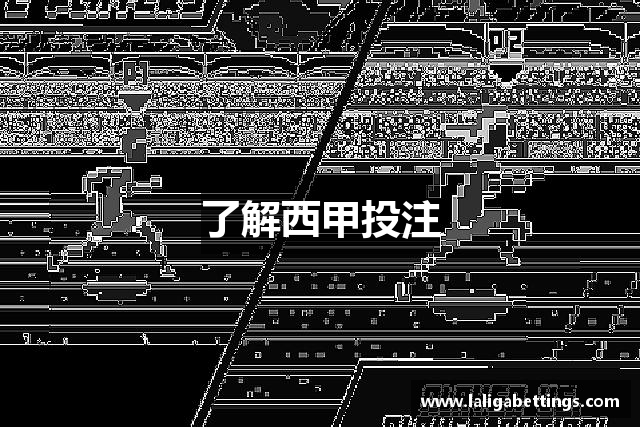 了解西甲投注